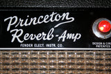 Princeton Reverb Blackface Overhaul Kit